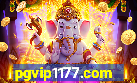 pgvip1177.com
