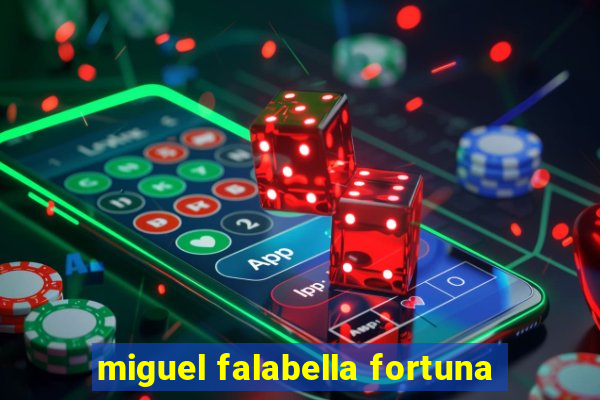 miguel falabella fortuna