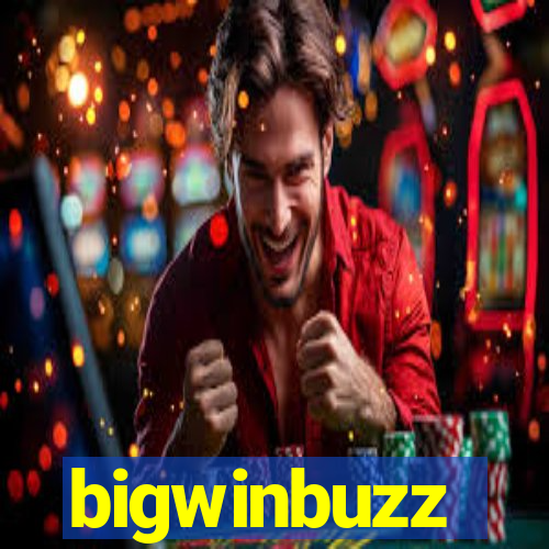 bigwinbuzz
