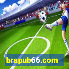brapub66.com