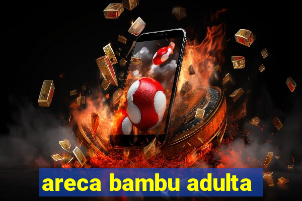 areca bambu adulta