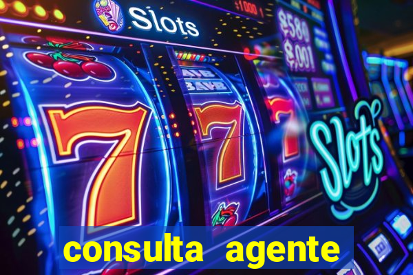 consulta agente autuador sp