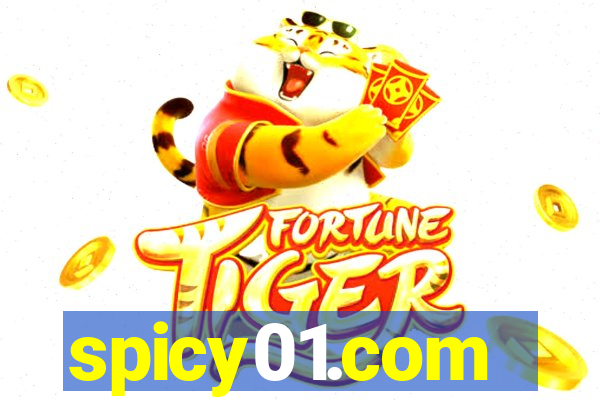 spicy01.com