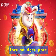 fortune tiger pote de ouro completo