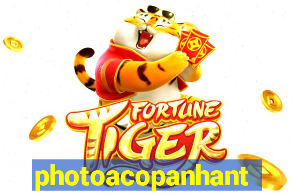 photoacopanhante