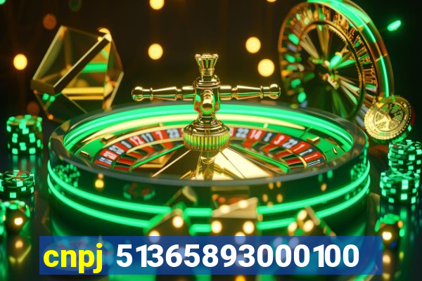 cnpj 51365893000100