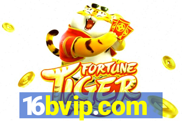 16bvip.com