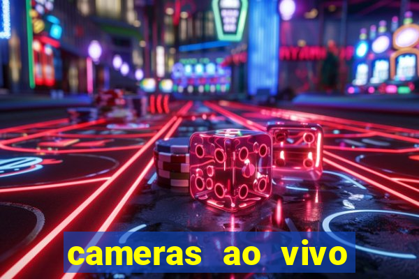 cameras ao vivo beto carrero