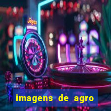 imagens de agro racoes guarani