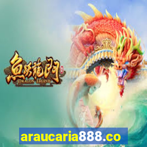 araucaria888.com