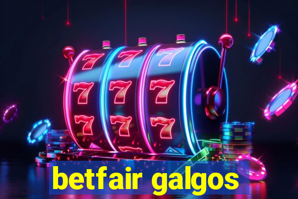 betfair galgos