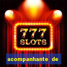 acompanhante de porto seguro