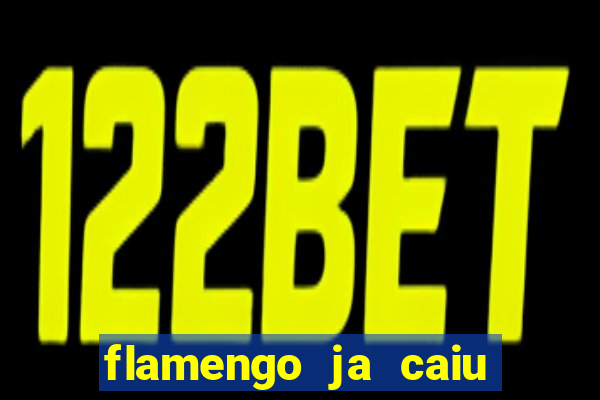 flamengo ja caiu para serie b