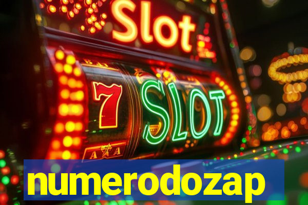numerodozap