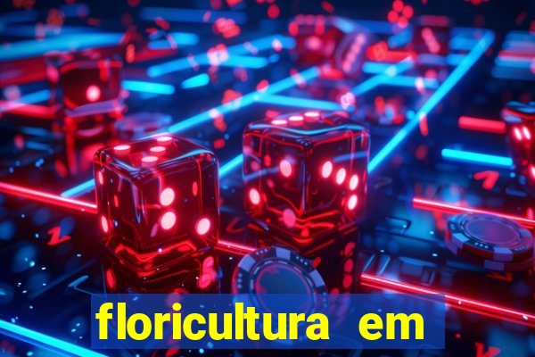 floricultura em franca sp
