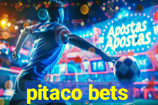 pitaco bets