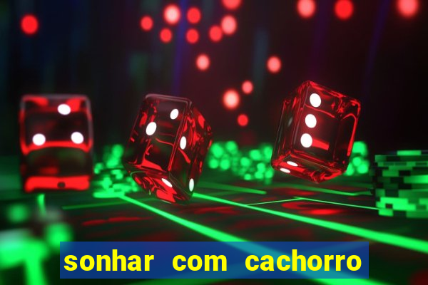 sonhar com cachorro numeros da mega sena