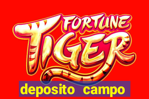 deposito campo grande santos