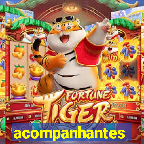 acompanhantes gordinha porto alegre