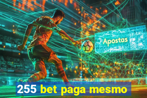 255 bet paga mesmo