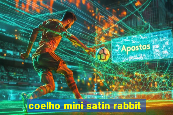 coelho mini satin rabbit