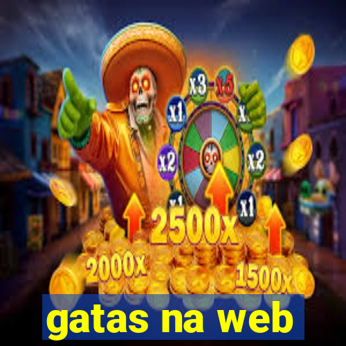 gatas na web