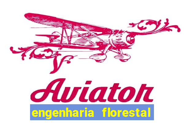 engenharia florestal ead cruzeiro do sul