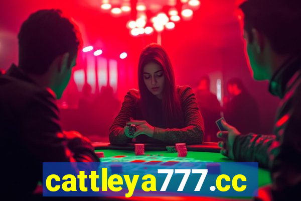 cattleya777.cc
