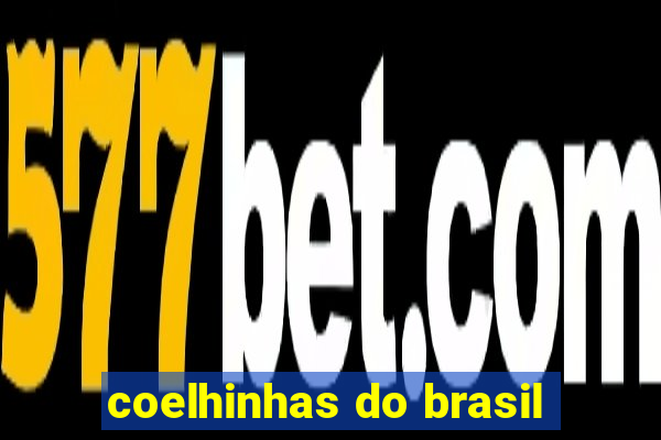 coelhinhas do brasil