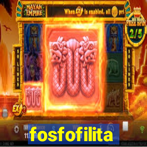 fosfofilita