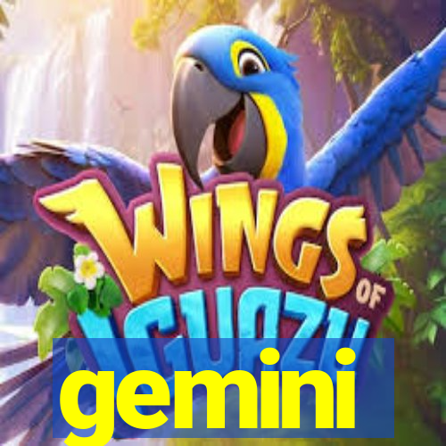 gemini-pp.com