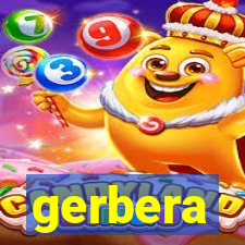 gerbera-dh.com