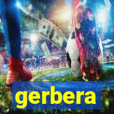 gerbera-dh.com