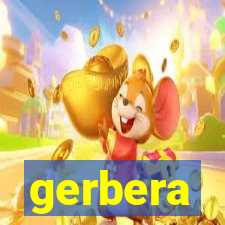 gerbera-dh.com