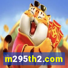 m295th2.com