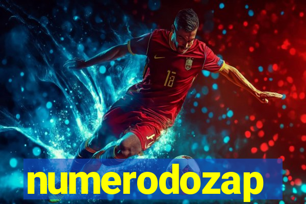 numerodozap