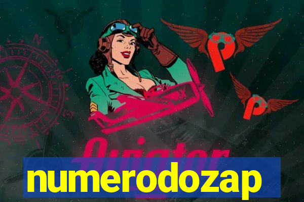 numerodozap