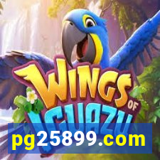 pg25899.com
