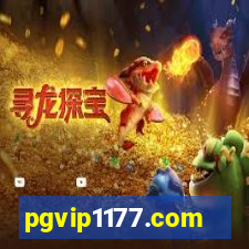 pgvip1177.com