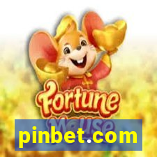 pinbet.com