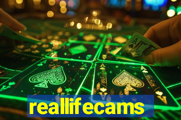 reallifecams