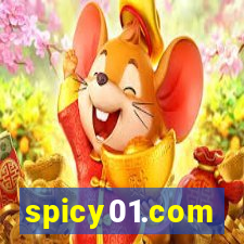 spicy01.com
