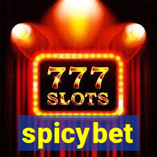 spicybet-3.com