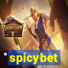 spicybet-3.com
