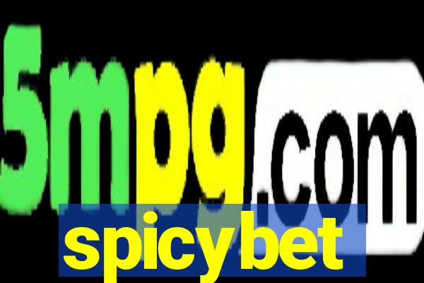 spicybet-4.com