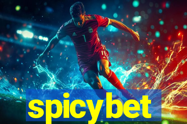 spicybet-4.com