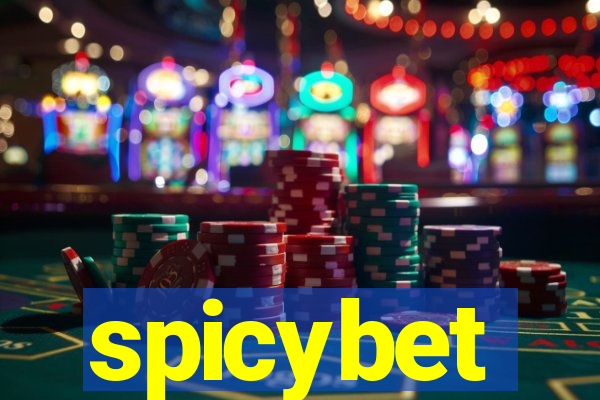 spicybet-4.com