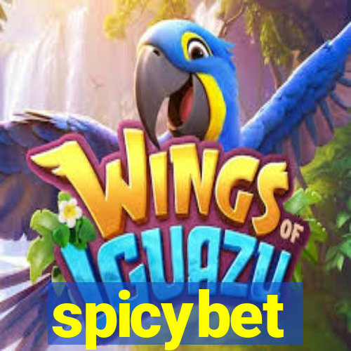 spicybet-4.com