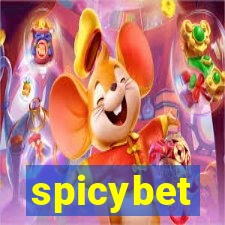 spicybet-4.com