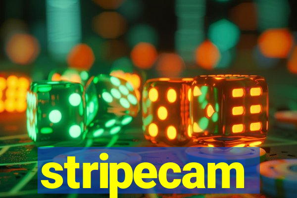 stripecam